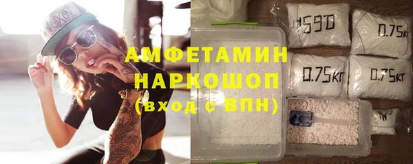СК Алексин