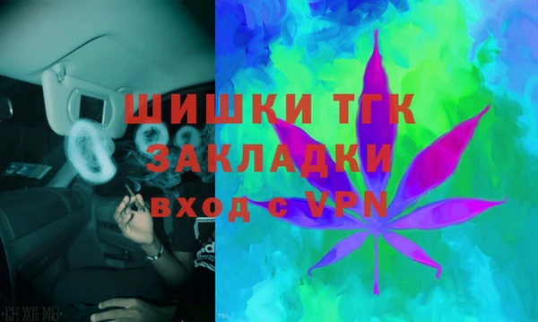 СК Алексин