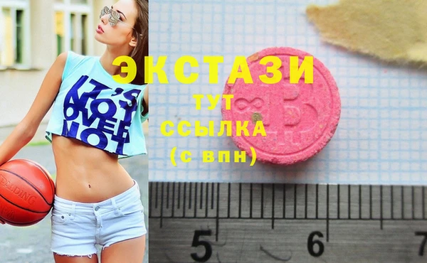 СК Алексин
