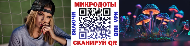 где продают   Чкаловск  Галлюциногенные грибы Psilocybe 